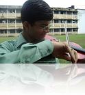 Playing violin in field